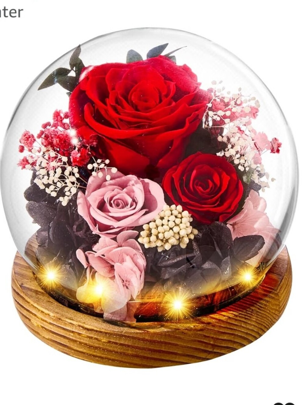 MAMAMIKO Red & Pink Preserved Rose Flower Dome With Lights